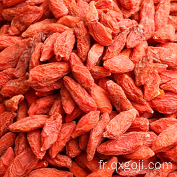 Le meilleur goji de goji séché organique à vendre